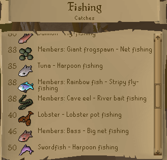 RS Fishing
